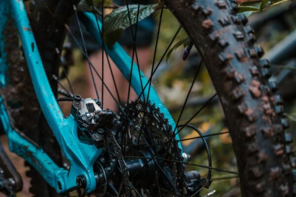 Jak wybrać opony rowerowe do różnych typów terenu?