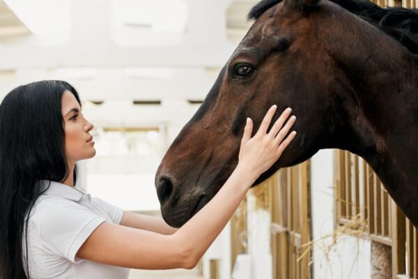 Głaskanie wierzchowca